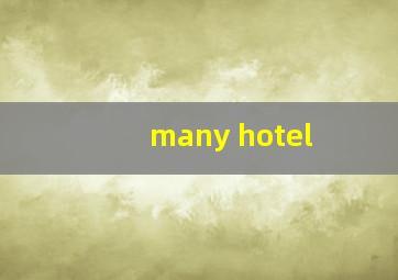 many hotel